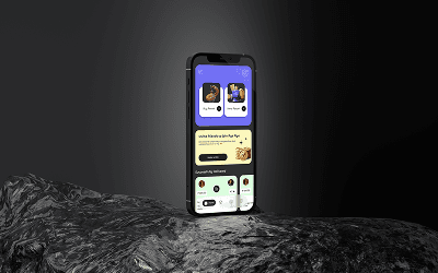 Project Image 10